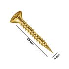 Parafuso Phillips Chipboard 4x40mm | Cabeça Chata | Bicromo |